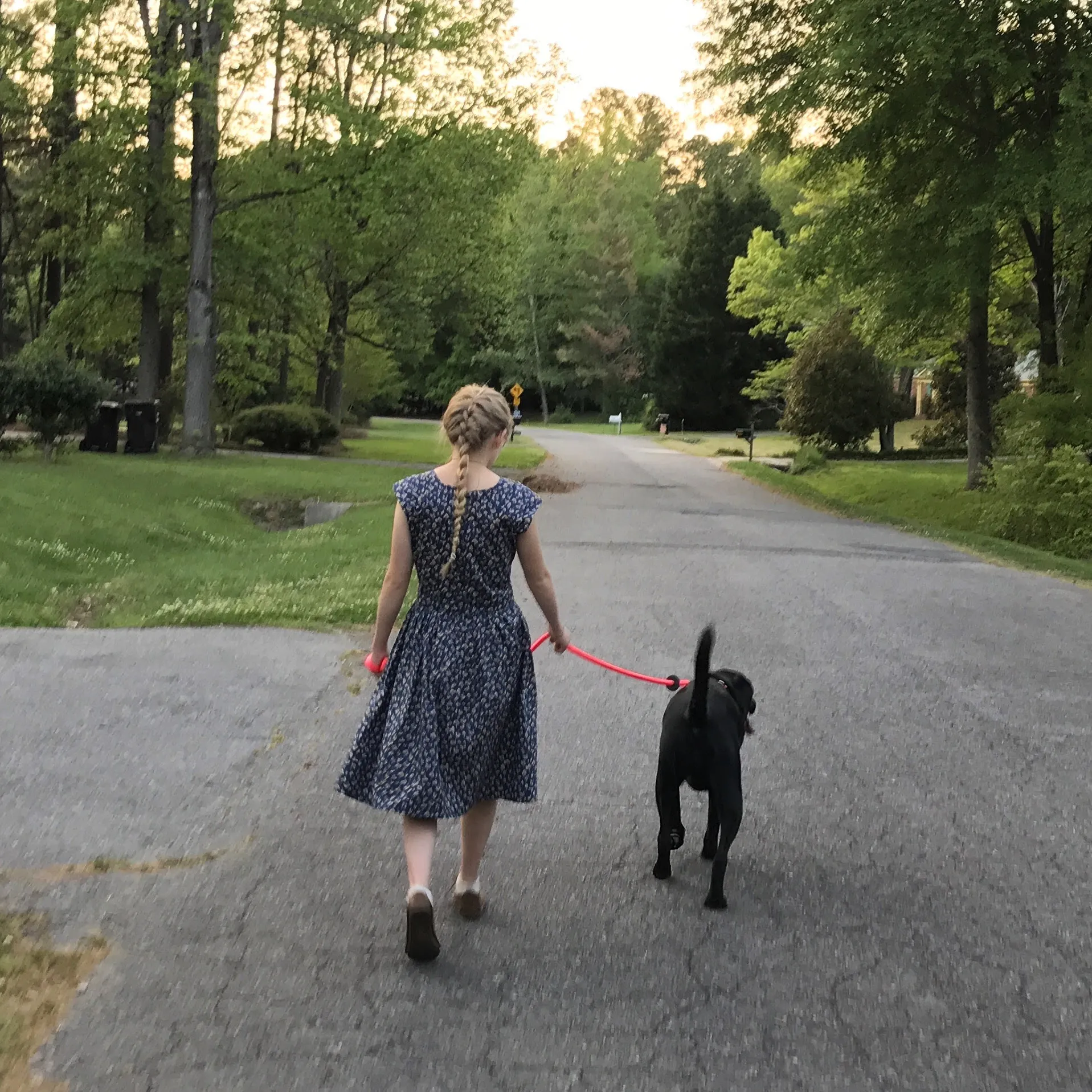Sierra walking Lily on a quiet neighborhood street at golden hour near Charlotte NC