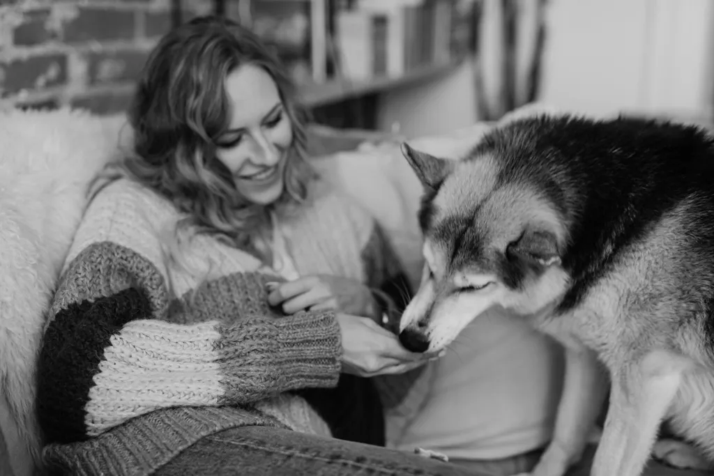 A pet sitter giving a treat to a husky mix dog on a couch during an in-home visit.